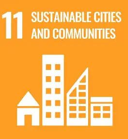 SDG 11