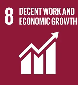 SDG 8